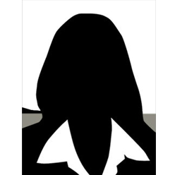 Image of Commercial Insurance Account Representative